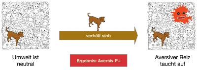 Das Verhalten des Hundes wird gefolgt durch ein aversives Ereignis (p-)