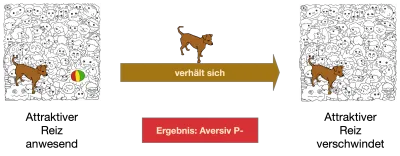 Ein attraktives Ereignis wird nach dem Verhalten des Hundes beendet (P-)