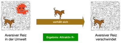 Der Hund erlebt eine aversive Umgebung und beendet das aversive Ereignis durch sein Verhalten (R+)