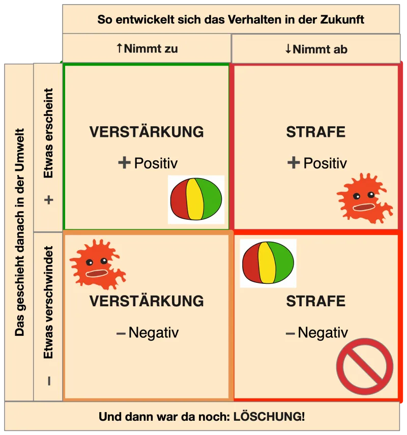 Hier sehen wir die vier Quadranten mit den Ereignissen vor und nach dem Verhalten eingezeichnet. Es zeigt sich, dass nur die positiven Verstärker rein attraktiv sind, alle anderen Kontingenzen sind mit aversiven Ereignissen verbunden.