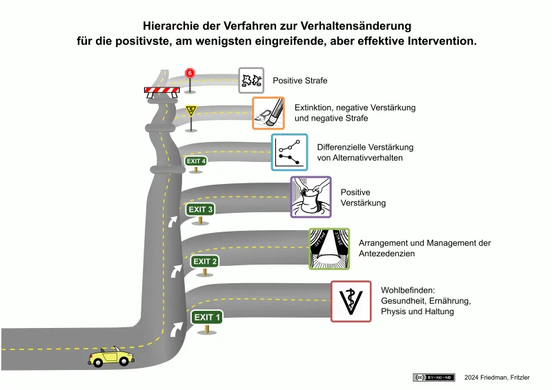 Eine gebogene Straße, auf der ein Auto fährt. Es nähert sich Abzweigungen, die die möglichen Interventionen im Training darstellen und ihre ethische Bewertung symbolisieren