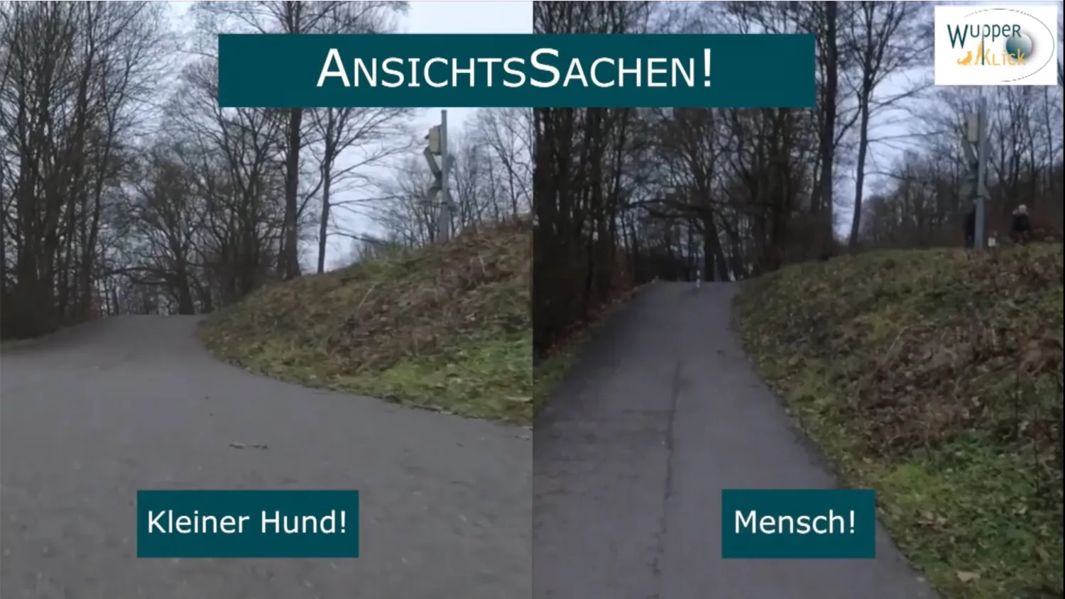 Ein Spazierweg mit leichter Steigung - rechts: so sieht es ein Mensch, links: so sieht es ein kleiner Hund