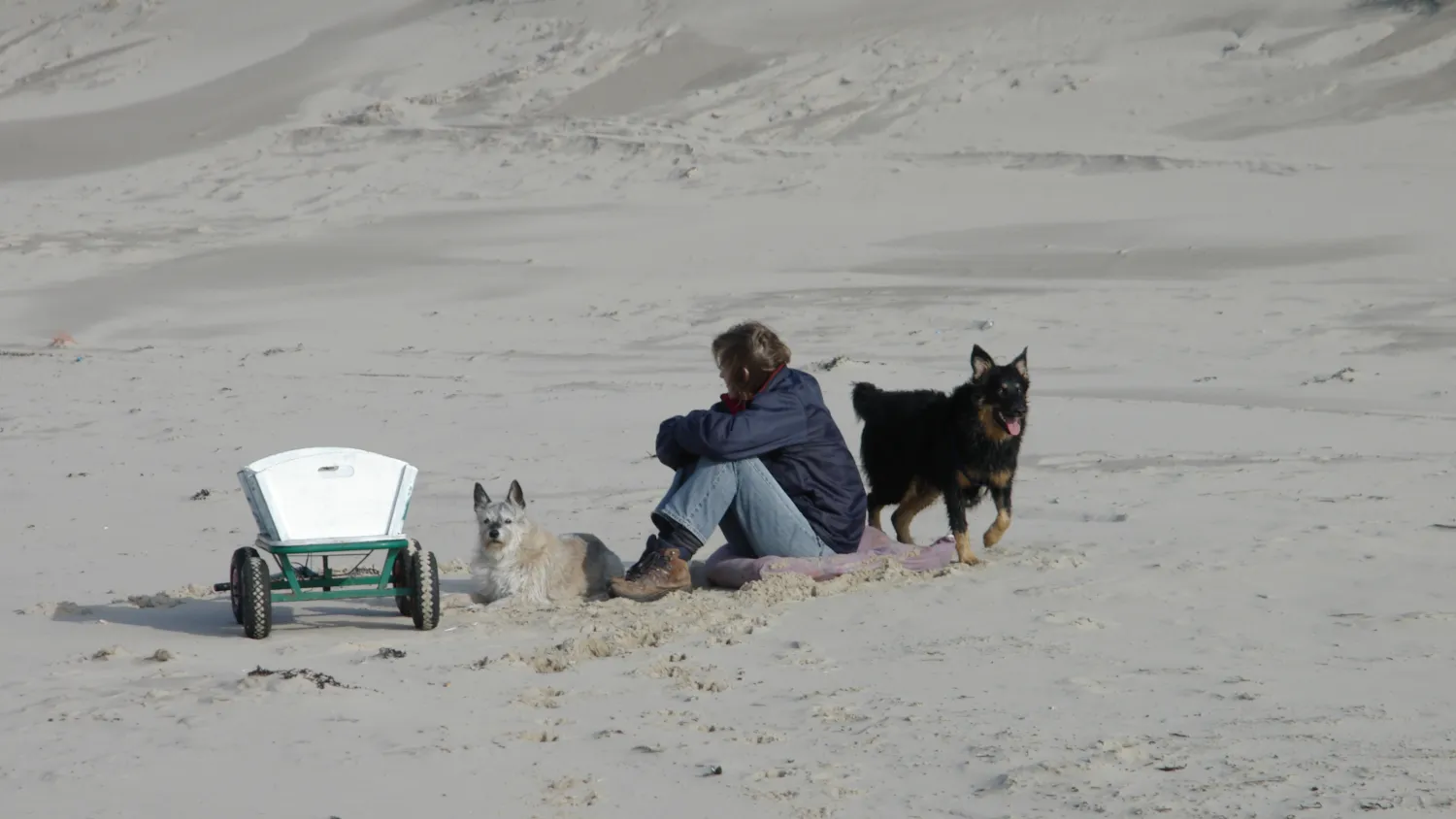 Frau und 2 Hunde am Strand mit einem Bollerwagen