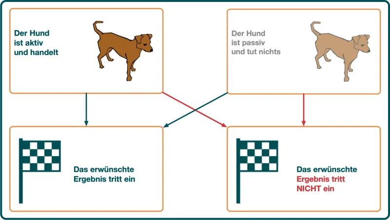 So bilden Mensch oder Tier eine Erwartung darüber, wie sein Verhalten mit den Konsequenzen zusammenhängt. Treten alle 4 Kombinationen unvorhersehbar auf, dann ist das Ergebnis nicht kontrollierbar durch das Verhalten.