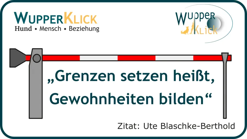 Icon Schranke Text: Grenzen setzen heißt, Gewohnheiten bilden