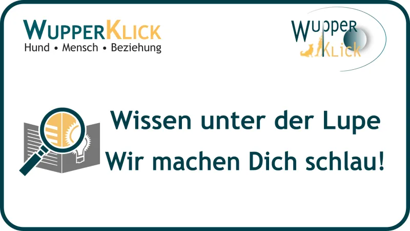 Icon: Lupe über Buchseiten Text: Wissen unter der Lupe - wir machen dich schlau