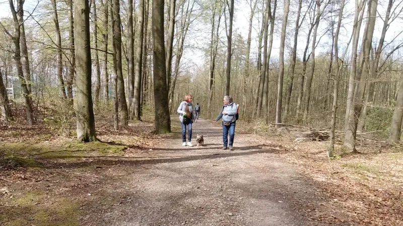 Foto: Trainerin begleitet Hunde-Mensch-Team
