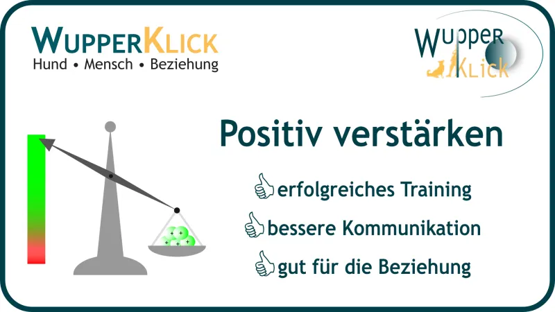 Icon: Waage zeigt in grünem Bereich an. Text: Positiv verstärken - Daumen hoch- erfolgreiches Training - bessere Kommunikation - gut für die Beziehung