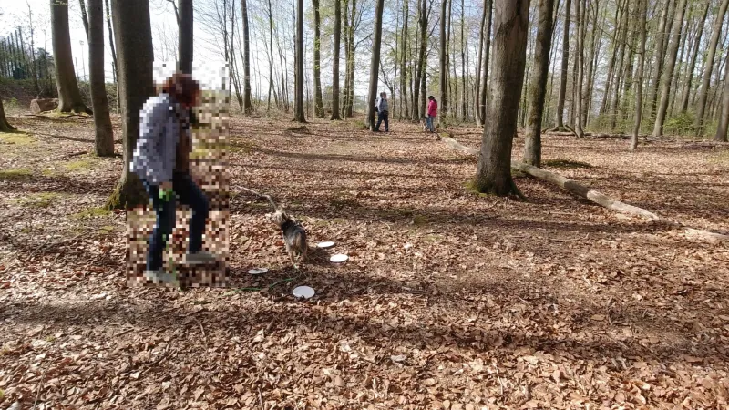 Trainerin mit 2 Mensch-Hunde-Teams