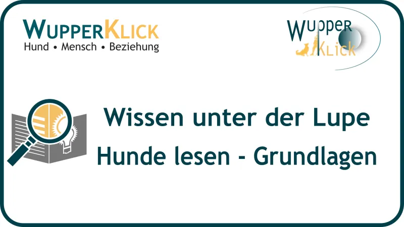 Icon: Lupe über geöffnetem Buch. Text: Wissen unter der Lupe-Grundlagen