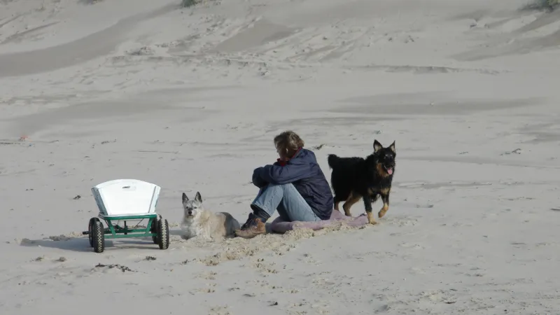 Frau und 2 Hunde am Strand mit einem Bollerwagen