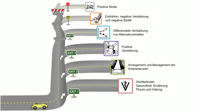 Eine gebogene Straße, auf der ein Auto fährt. Es nähert sich Abzweigungen, die die möglichen Interventionen im Training darstellen und ihre ethische Bewertung symbolisieren
