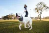 Hund zieht Mann hinter sich her