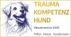 Trauma Kompetenz Hund Hense, Foltin, Sondermann