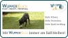 Hund (Tijger) spielt mit Ball, Text unter dem Bild lautet: Mit Wupperklick immer am Ball bleiben