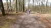 Foto: Trainerin begleitet Hunde-Mensch-Team