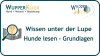 Icon: Lupe über geöffnetem Buch. Text: Wissen unter der Lupe-Grundlagen