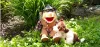 Unser Karl Heinz mit Wuppsi im Garten